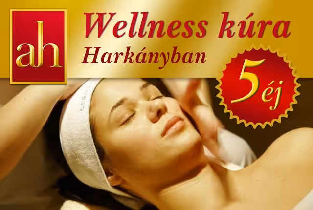 wellness kúra harkányban wellness kúra harkányban